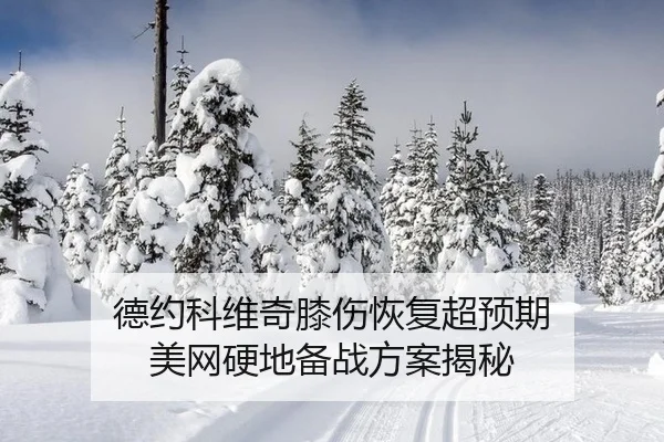 de-yue-ke-wei-qi-xi-shang-hui-fu-chao-yu-qi-mei-wang-ying-di-bei-zhan-fang-an-jie-mi-2-104.jpg