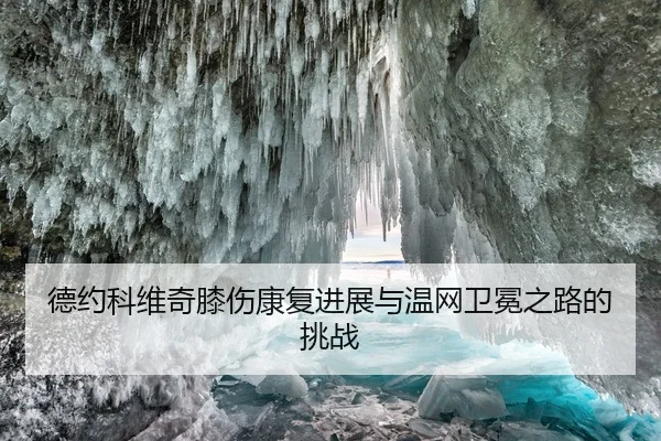德约科维奇膝伤康复进展与温网卫冕之路的挑战