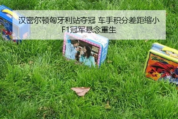han-mi-er-dun-xiong-ya-li-zhan-duo-guan-che-shou-ji-fen-cha-ju-suo-xiao-guan-jun-xuan-nian-chong-sheng-1-176.jpg