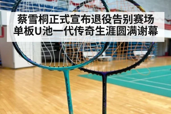 蔡雪桐正式宣布退役告别赛场单板U池一代传奇生涯圆满谢幕